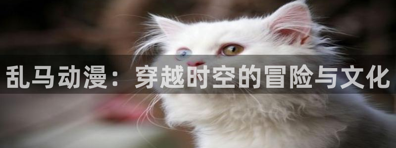omofun.动漫在线看：乱马动漫：穿越时空的冒险与文化