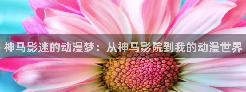omofun官网下载安卓：神马影迷的动漫梦：从神马影院到我的动漫世界