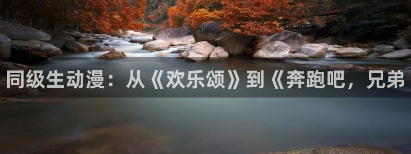 omofun怎么下：同级生动漫：从《欢乐颂》到《奔跑吧，兄弟