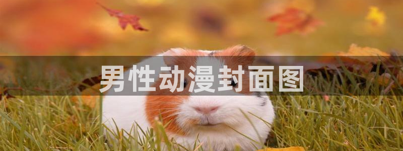 omofun网页版入口处：男性动漫封面图