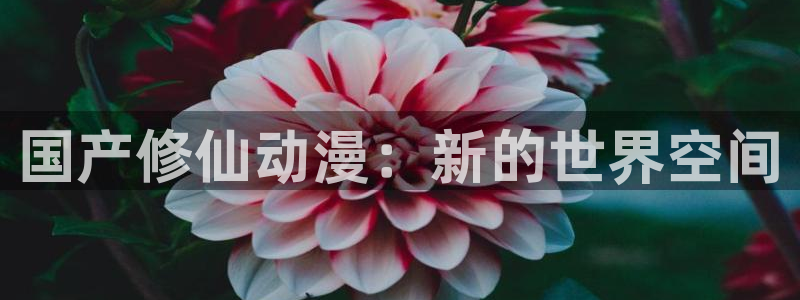 omofun注册：国产修仙动漫：新的世界空间