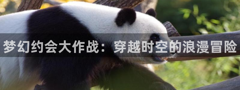 omofun动漫视频网提供最新最快的动漫新番：梦幻约会大作战：穿越时空的浪漫冒险