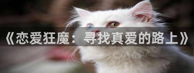 omofun最新：《恋爱狂魔：寻找真爱的路上》