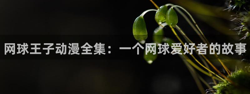 omofun完整版：网球王子动漫全集：一个网球爱好者的故事
